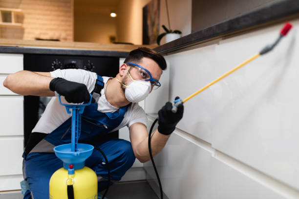Best Termite Control Services  in Portland, MI