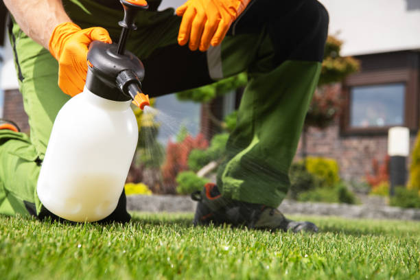 Professional Pest Control in Portland, MI