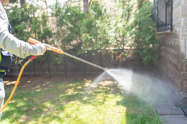 Best Pest Inspection Near Me  in Portland, MI