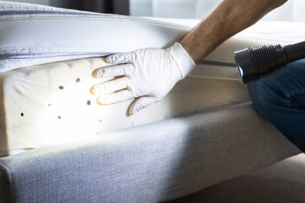 Best Flea Control Services  in Portland, MI