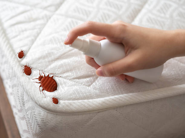 Best Pest Control Near Me in Portland, MI