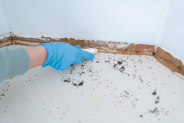 Best Affordable Exterminators  in Portland, MI