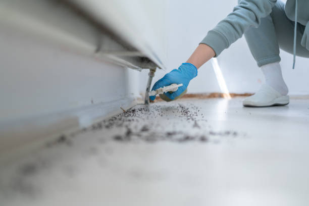 Best Cockroach Control Services  in Portland, MI