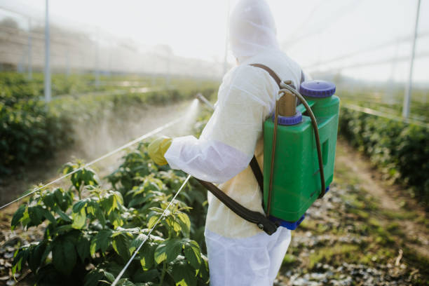 Best Termite Control Services  in Portland, MI